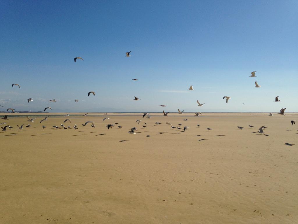 Rural Tarifa Beach Las Cabanas Dış mekan fotoğraf